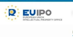 EUIPO records the highest number of applications in its history