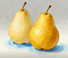Chinese Fruit Company Secures UK Trademark Victory in Pear-Name Dispute